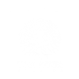 TREE HOUSE STUDIOS